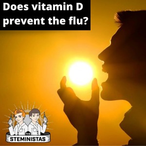 Does Vitamin D prevent the flu?