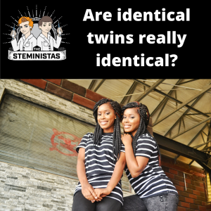 Are identical twins really identical?