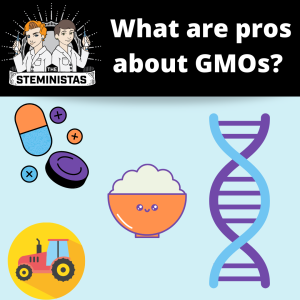 What are pros about GMOs?