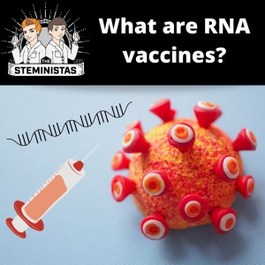What are RNA vaccines?