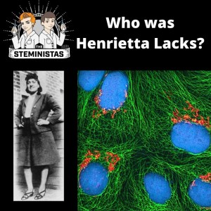 Who was Henrietta Lacks?