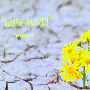 Hope Alive: 1 Peter 1:1-5