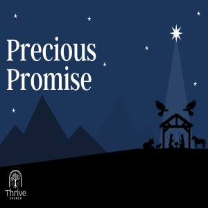 Precious Promise- Week 3 - Why