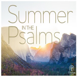 Summer in the Psalms - Psalm 91