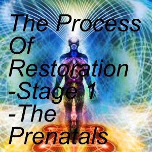 The Process Of Restoration -Stage 1 -The Prenatals