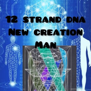 The Emergence Of 12 Strand DNA Man