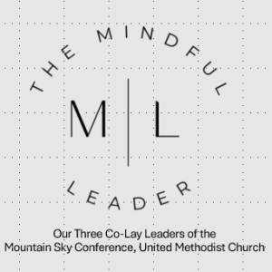 Episode 5:  Our Three Co-Lay Leaders of Mountain Sky Conference