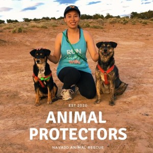 Animal Protectors: The Story of My Family's Fight Against Animal Cruelty & How I Am Now Saving Stray Animals