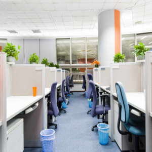 Essential Tips To Prevent The Growth Of Dust Mites In Your Office