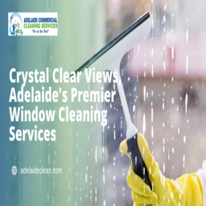 Stream How Should You Not Clean Your Workplace’s Windows?