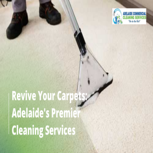 Stream DIY vs Professional Carpet Cleaning in Adelaide: Which is Better?