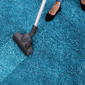 Stream How Can You Make Carpet Cleaning Pet-Friendly?