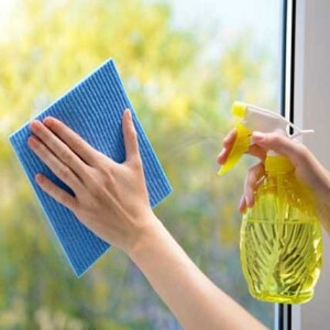 Stream Tips to Clean the Outside of Your Windows With the Expert’s Assistance