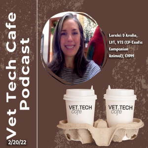 Vet Tech Cafe - Lorelei D’Avolio Episode