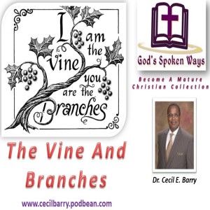 The Vine and Branches 