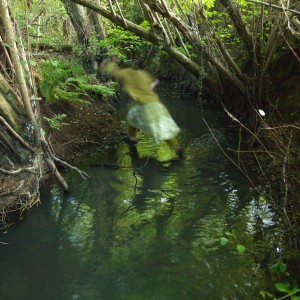 The Sound of Water: Stream