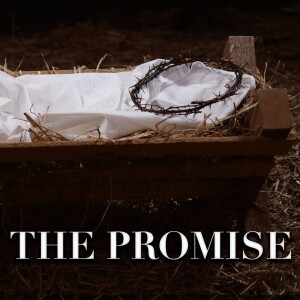 THE PROMISE // Week 3 // MARY