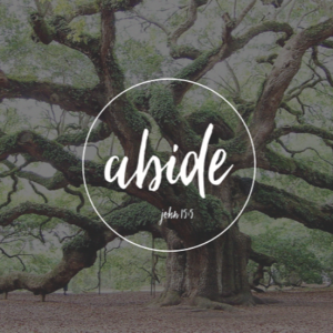 Abide:  Abide & Become Like Him