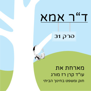 פרק 31 - עו”ד קרן רז מורג. על חוק ומשפט בחינוך הביתי