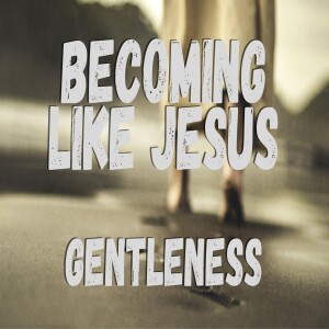 Becoming Like Jesus: Gentleness