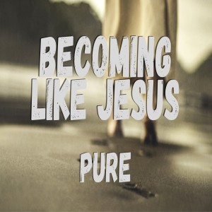 Becoming Like Jesus: Pure