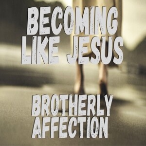 Becoming Like Jesus: Brotherly Affection