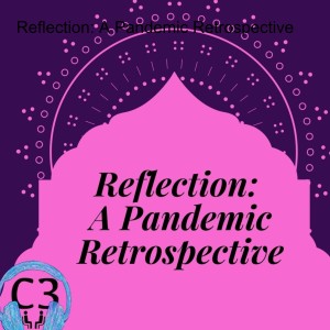 Reflection: A Pandemic Retrospective