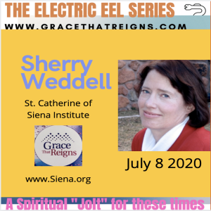 The Electric Eel Series at Grace that Reigns:  An Interview with Sherry Weddell