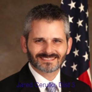 Interview with Councilman Jared Cerullo