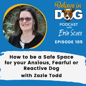 How to be a Safe Space for Your Anxious, Fearful or Reactive Dog with Zazie Todd