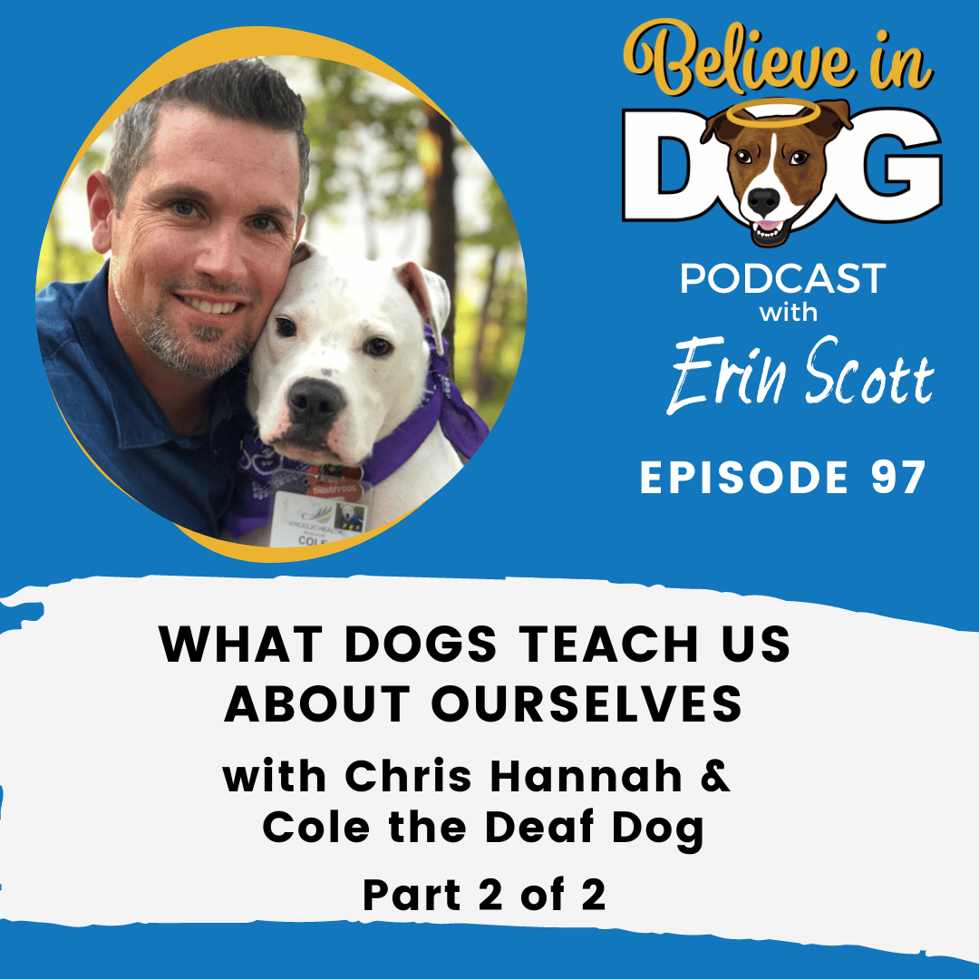 What Dogs Teach Us About Ourselves Part 2 of 2 with Chris Hannah and Cole the Deaf Dog