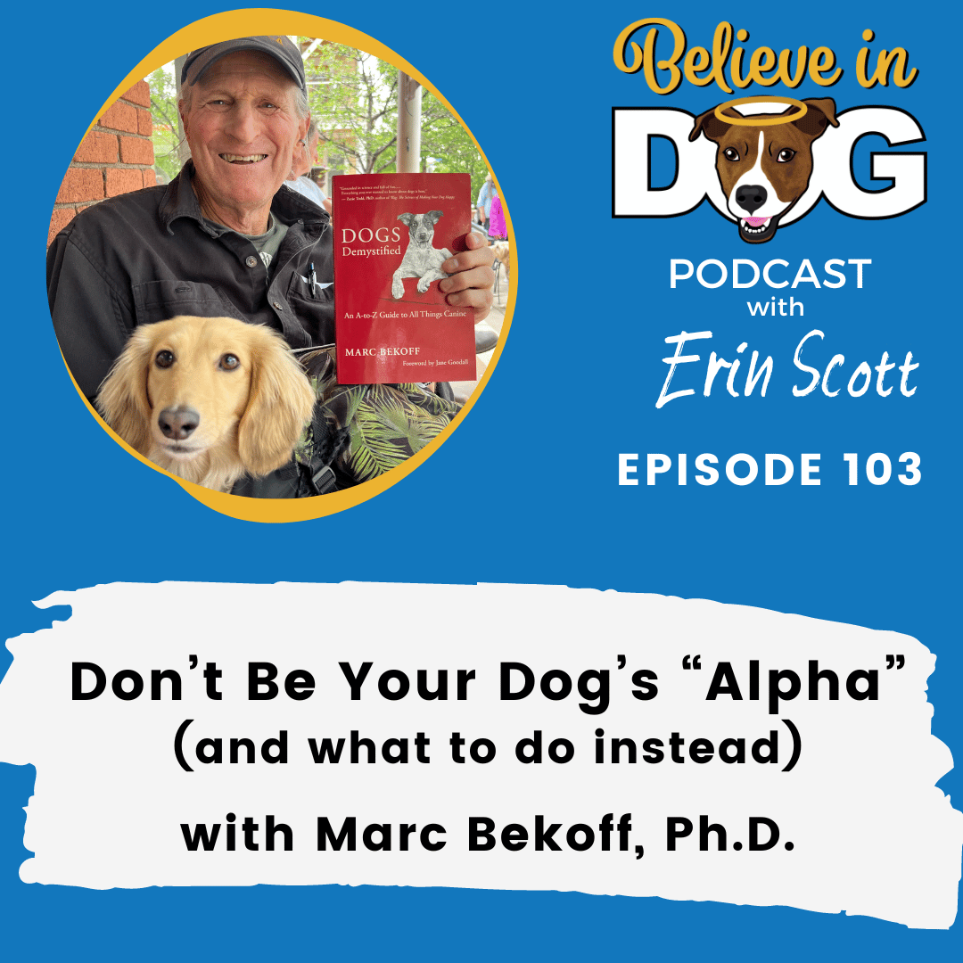 Don’t Be Your Dog’s “Alpha” (and What to Do Instead) with Marc Bekoff, Ph.D.