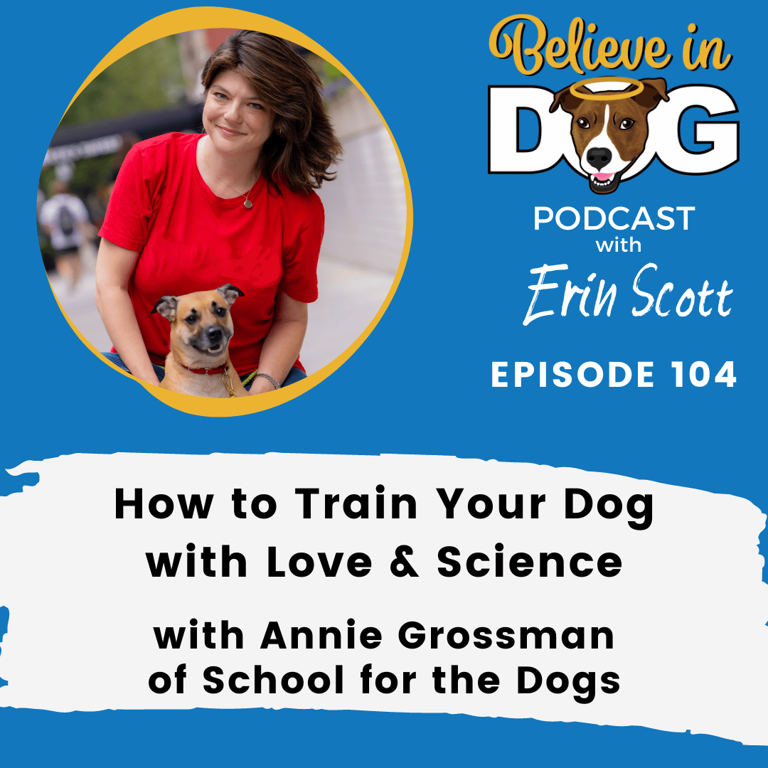 How to Train Your Dog with Love & Science with Annie Grossman of School for the Dogs