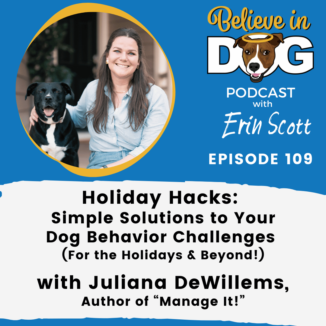 Holiday Hacks: Simple Solutions to Your Dog Behavior Challenges (For the Holidays & Beyond!) with Juliana DeWillems