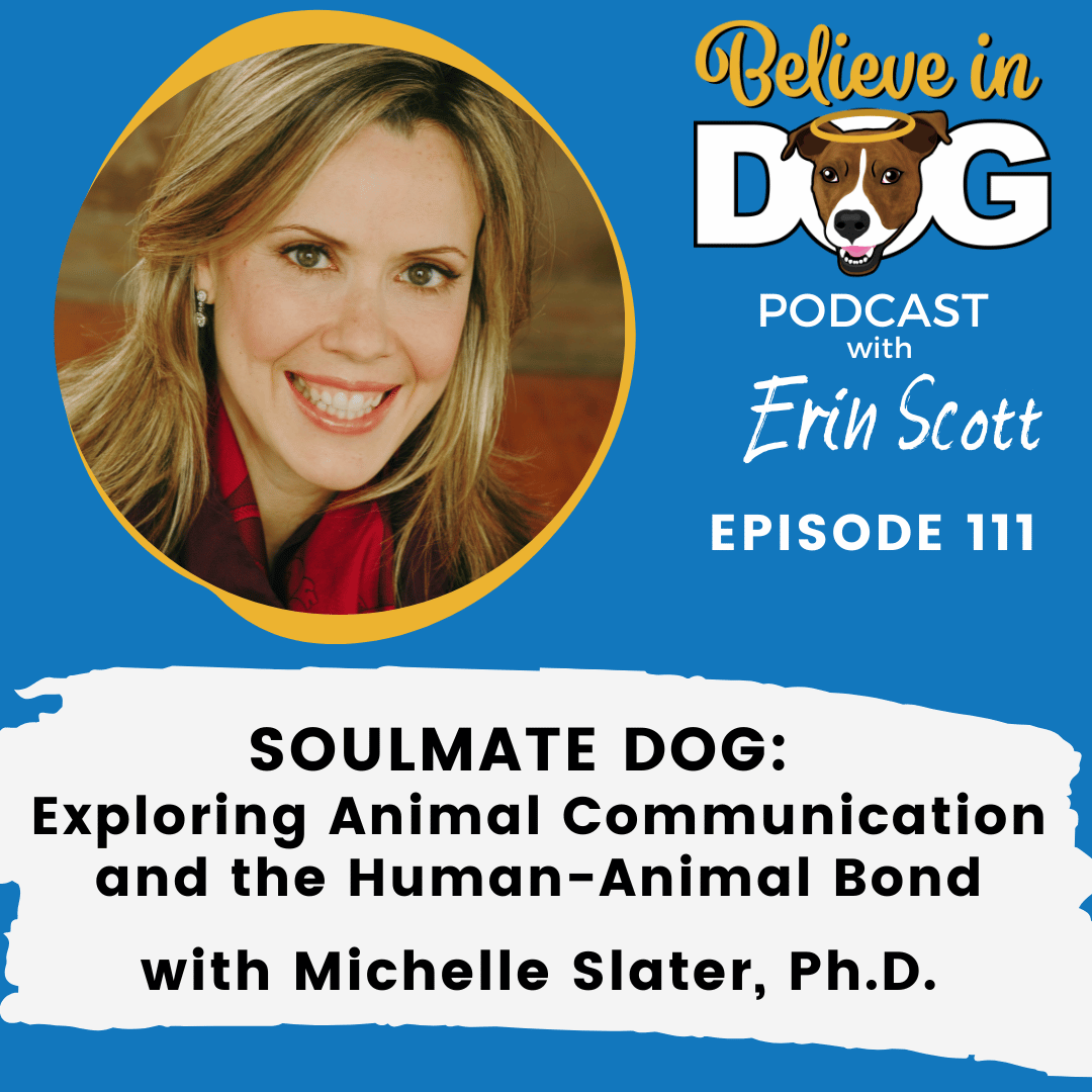 Soulmate Dog: Exploring Animal Communication and the Human-Animal Bond with Michelle Slater, Ph.D.