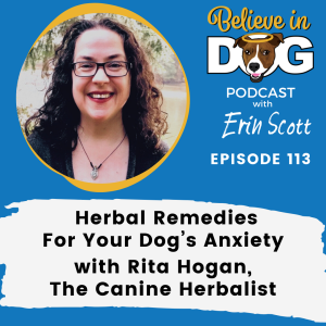 Herbal Remedies for Your Dog’s Anxiety with Rita Hogan, the Canine Herbalist