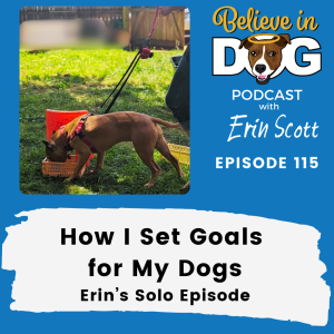 How I Set Goals for My Dogs