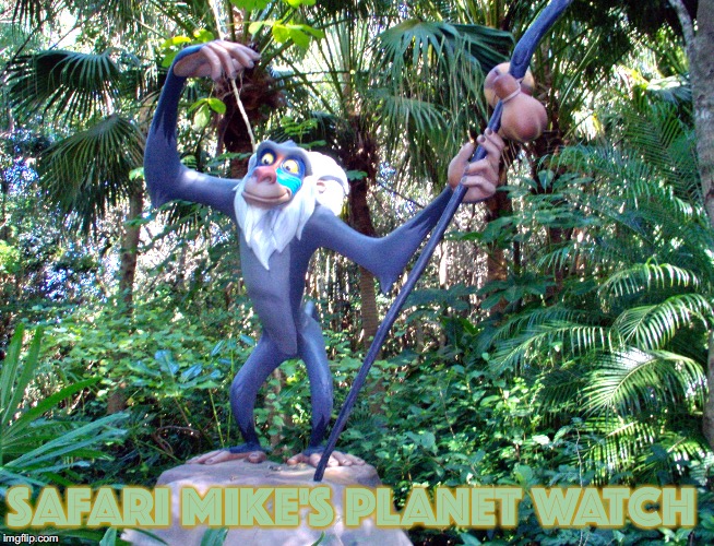 Safari Mike's Planet Watch - Tortoise