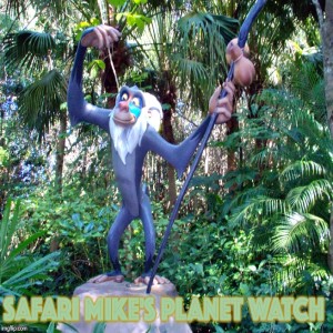 Safari Mike’s Planet Watch - A Partridge in a Pear Tree