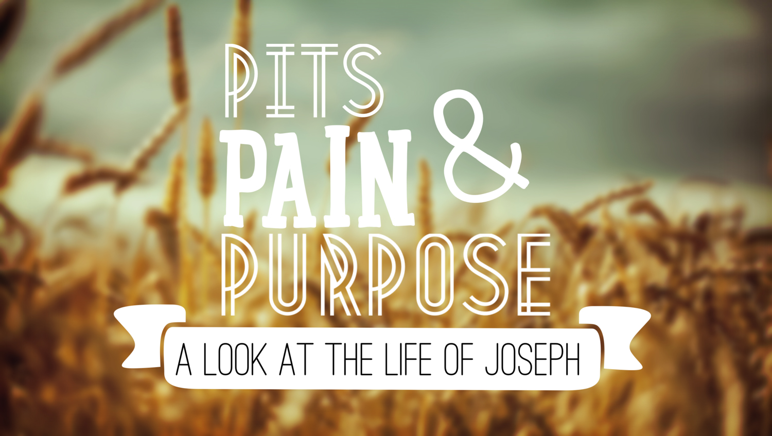 Pits Pain and Purpose 
