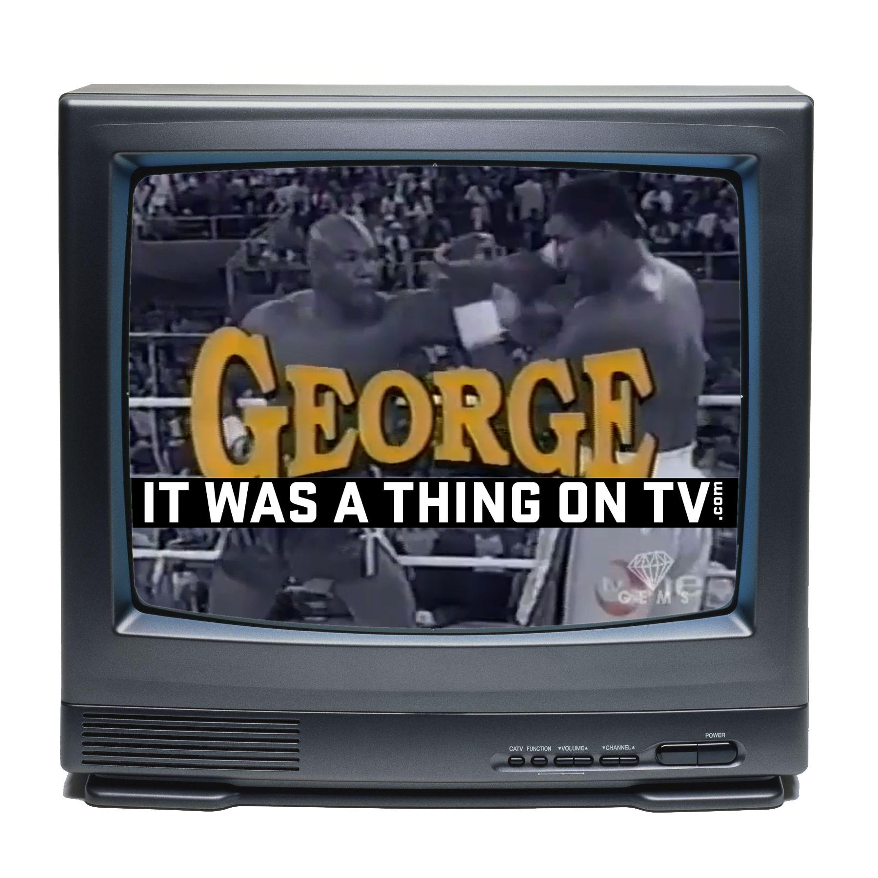 It Was a Thing on TV:  An Anthology on Forgotten Television