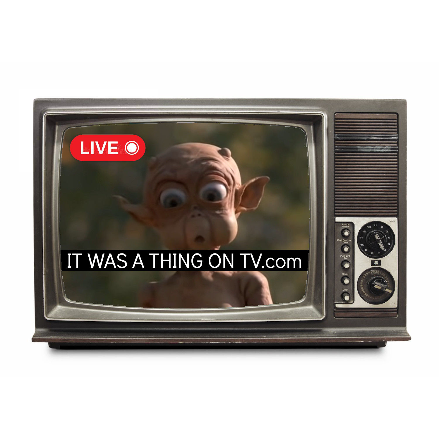 It Was a Thing on TV:  An Anthology on Forgotten Television
