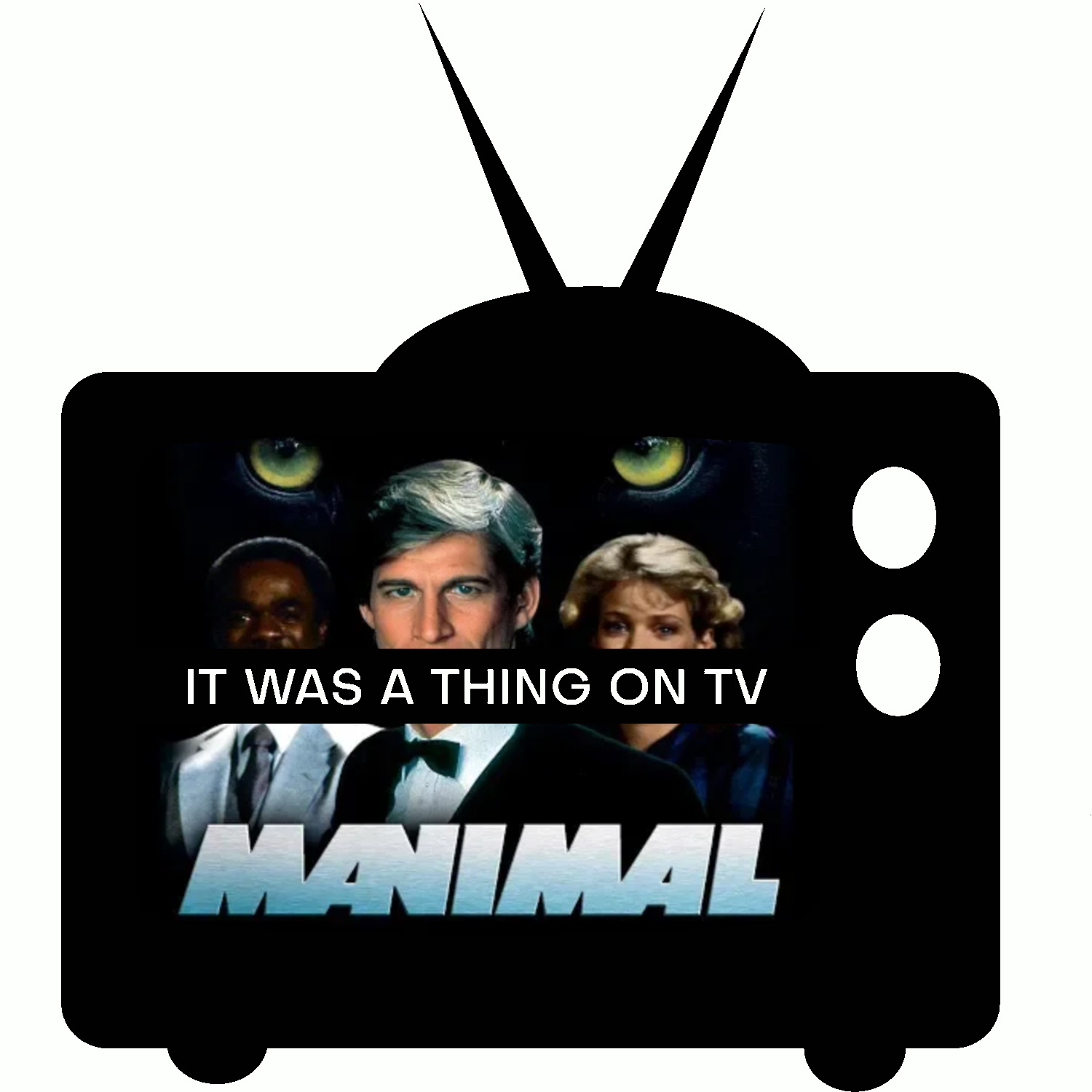 The It Was a Thing on TV Podcast Network