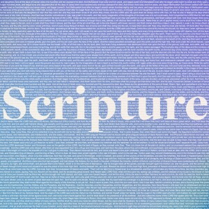 Scriptures Week 5