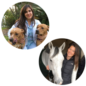 BEVApod Life: Pregnancy and parenting in equine practice with Emily Singler and Angela Jones