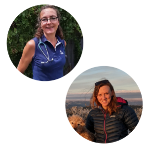 BEVApod Life: "Wellbeing rounds: Case discussions with feelings" with Sarah Emptage and Sophie Eaden