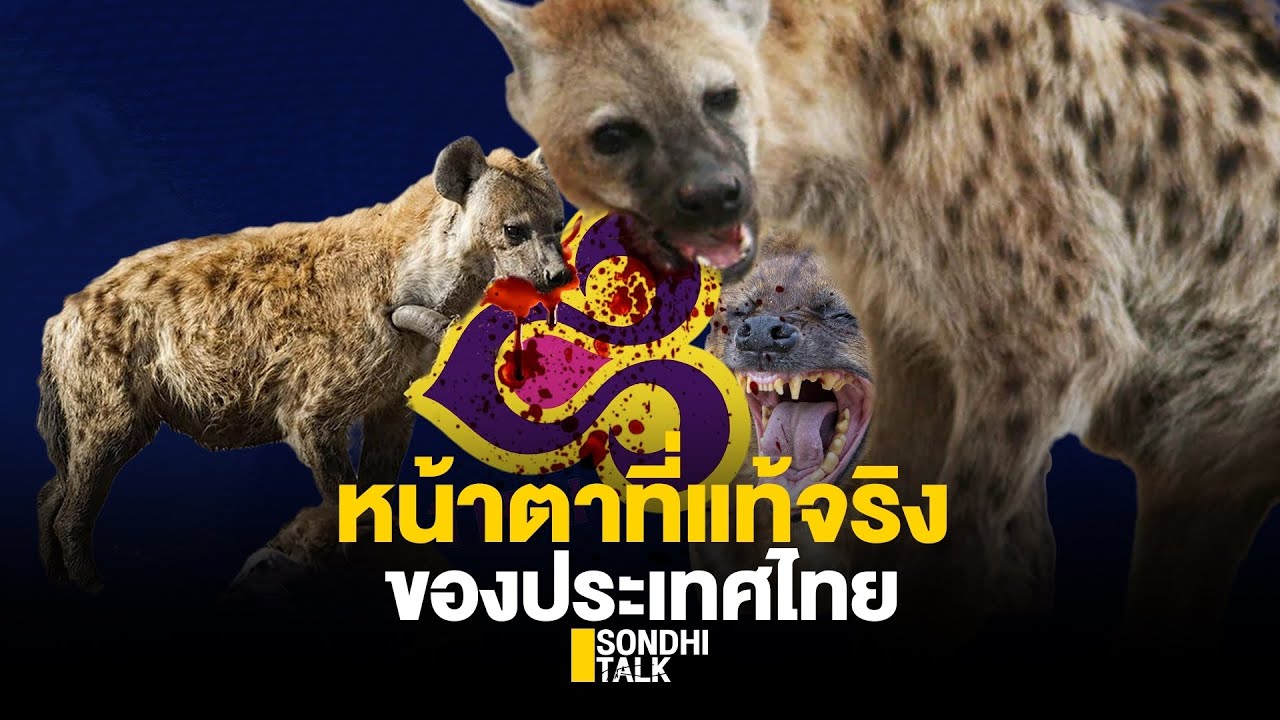 S.389 หน้าตาที่แท้จริงของประเทศไทย