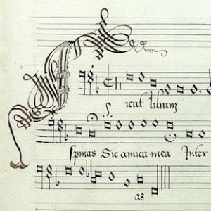 Sicut Lilium (Brumel) from the Anne Boleyn Songbook