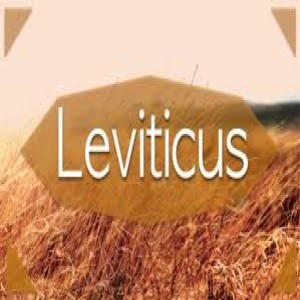 Leviticus 23.23-25 - 