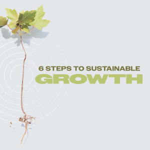 6 Steps to Sustainable Growth | Part 4 | A New Way to Show Your Struggles